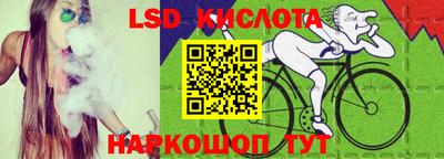 2c-b Камышлов
