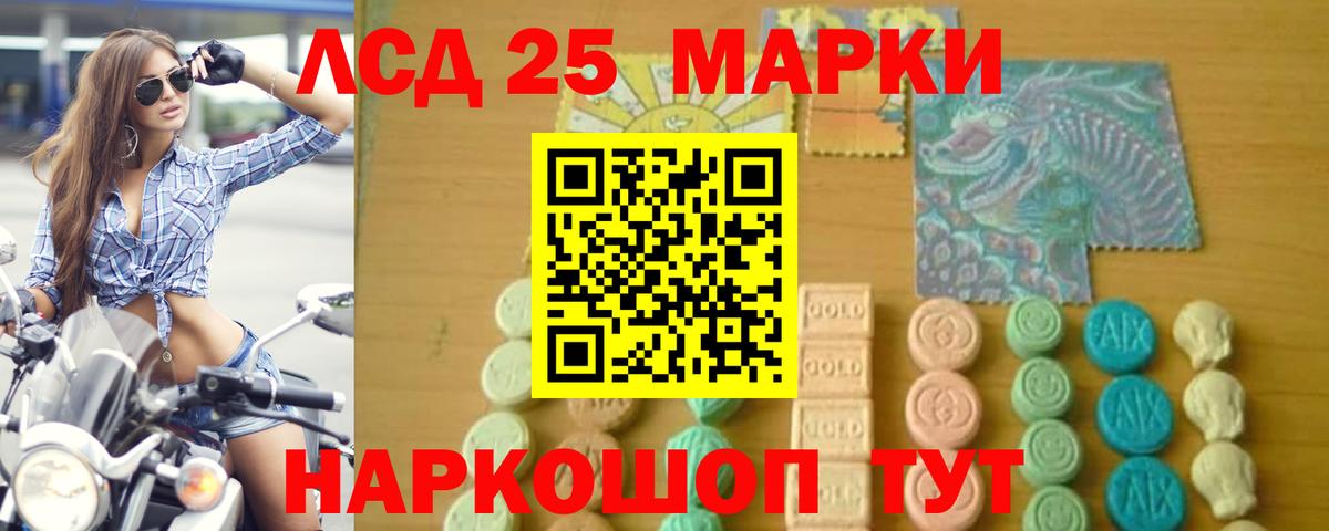 ЛСД экстази кислота  LSD-25 экстази  Курчалой  LSD-25 экстази кислота  Вход с VPN 