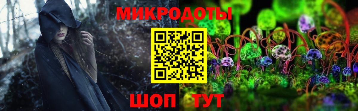 Галлюциногенные грибы GOLDEN TEACHER  Псилоцибиновые грибы Cubensis  Курчалой  Вход с VPN 
